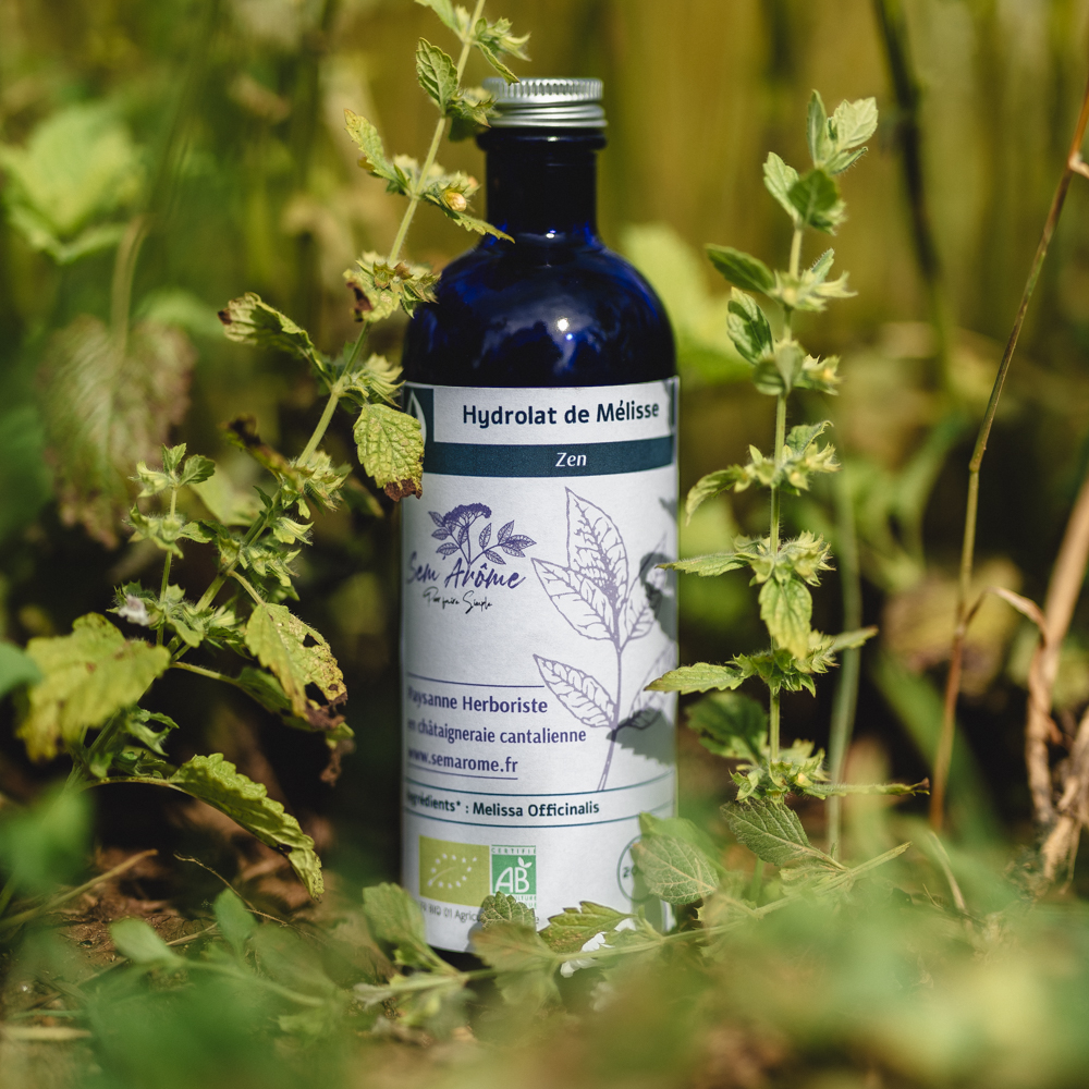 Hydrolat de Mélisse Bio