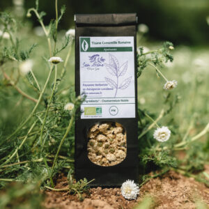 Tisane Camomille Romaine Bio