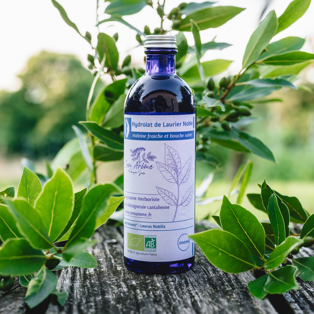 Hydrolat de Laurier Noble Bio