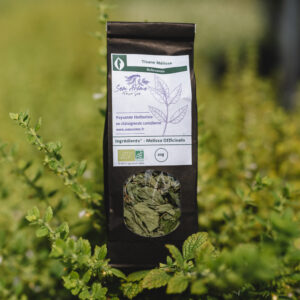 Tisane de Mélisse Bio