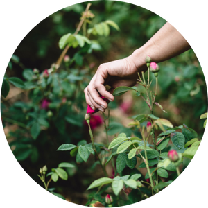 Rencontres &agrave; la ferme