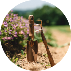 Sem'Ar&ocirc;me s'engage &agrave; pr&eacute;server les propri&eacute;t&eacute;s et qualit&eacute;s de ces plantes bio