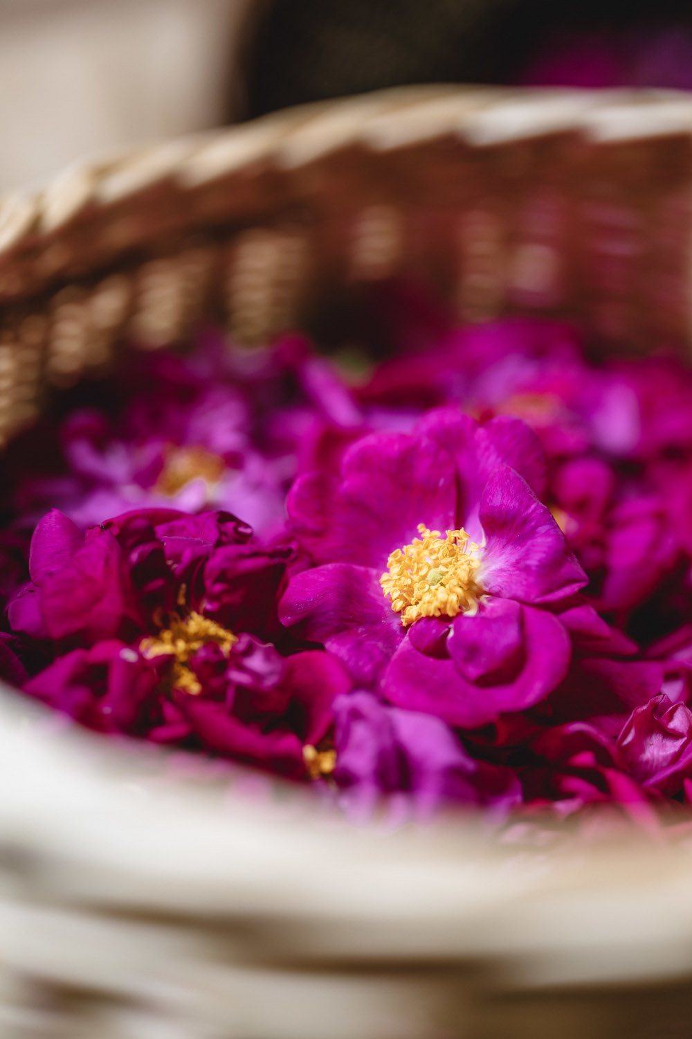 Pourquoi choisir Sem'Arôme ?