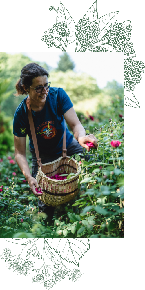 Maire-Claire, paysanne herboriste en agriculture biologique dans le sud de l&rsquo;Auvergne