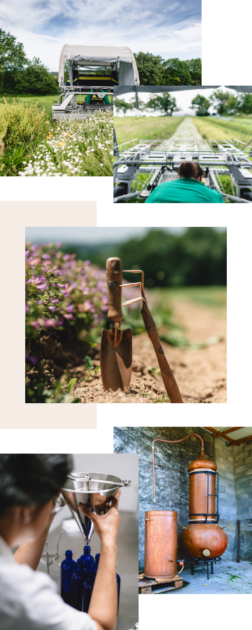 Les outils utilis&eacute;s par Sem'Ar&ocirc;me 