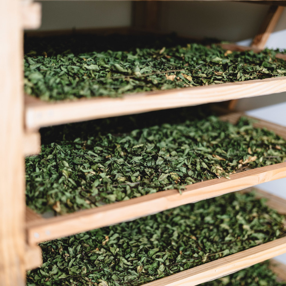 Le s&eacute;choir de Sem'Ar&ocirc;me