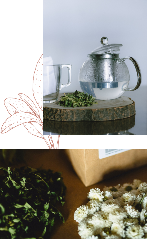 Comment pr&eacute;parer votre tisane ?