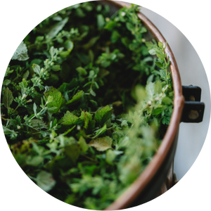 Un m&eacute;lange de plantes dans un hydrolat de qualit&eacute;