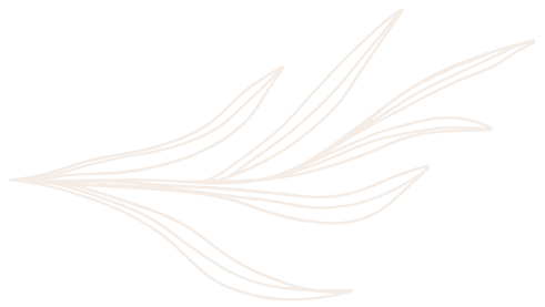 Illustration pour s&eacute;parer la page