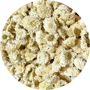 Des tisanes compos&eacute;es d'une plante choisie pour ses propri&eacute;t&eacute;s